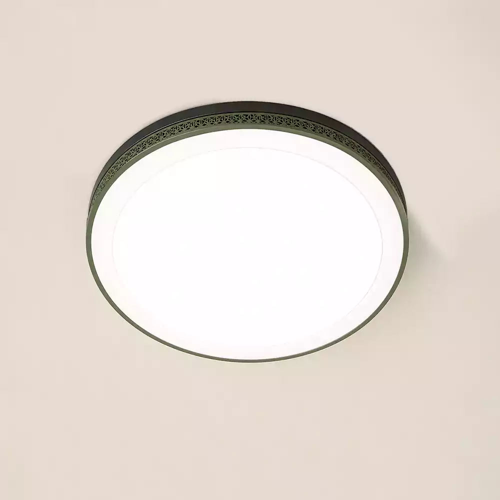 The Moss Disc Ceiling Mounted light